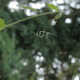 Illustration for article titled Oh God Spiders Are Using Textspeak Now
